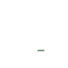 Young Legacy Veterans